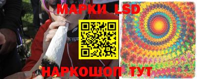 трава Новодвинск