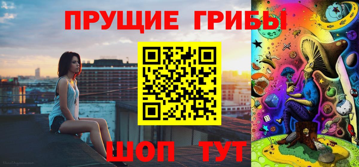 Северск  Галлюциногенные грибы ЛСД  Вход с VPN 